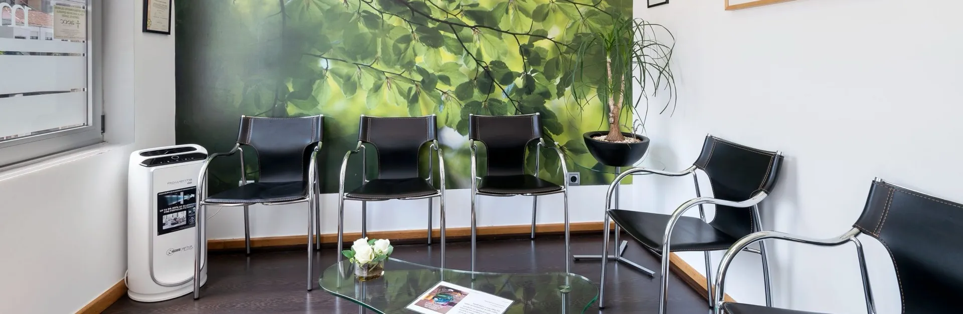 Sala de espera de Enamel Clínica Dental con mural de hojas verdes y sillas negras